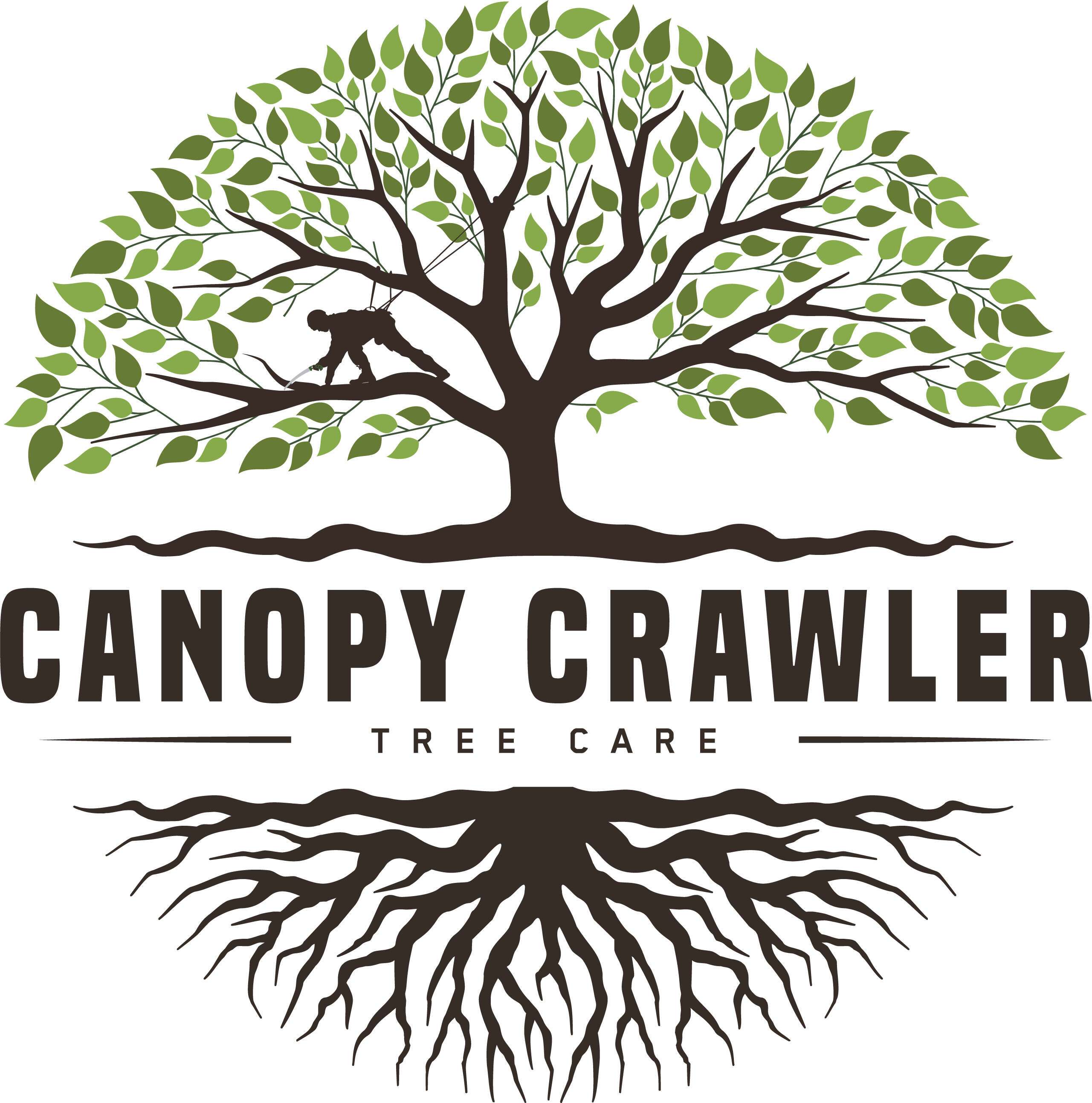Canopy Crawler Tree Care